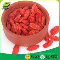 Ningxia goji berry factory with ISO HACCP GMP KOSHER certified